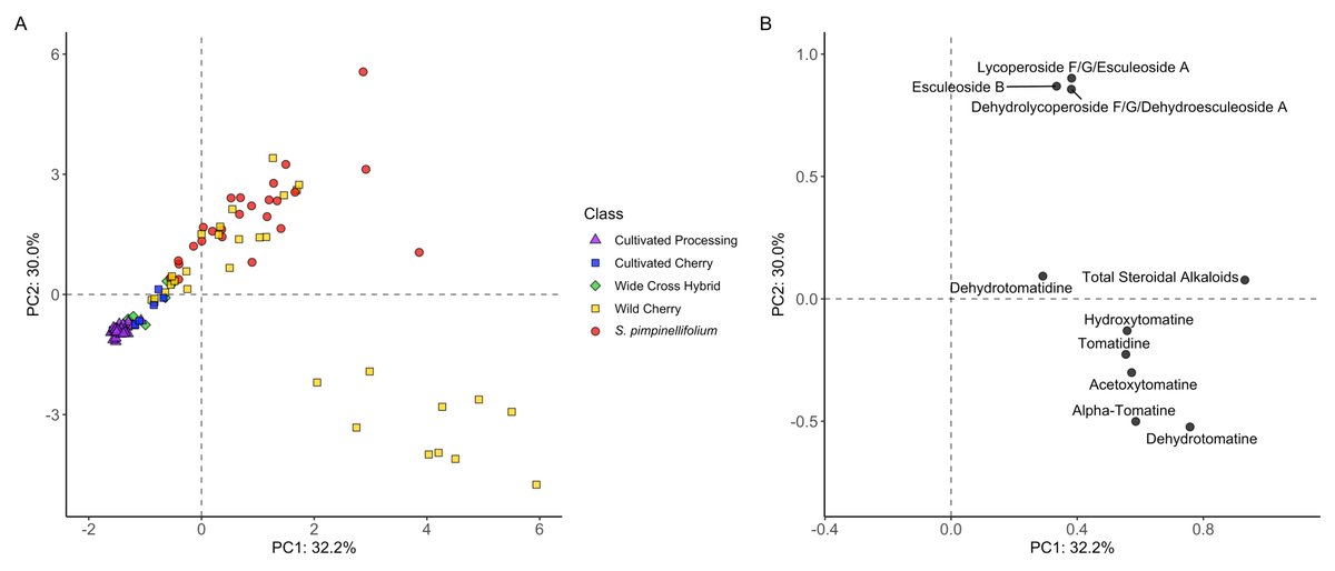 This is especially cool because this finding mirrors the phenotypic diversity we saw in our population. Tomatoes that all came from that same place in Peru where the high alpha-tomatine tomatoes were from had the same QTL on chromosome 3.