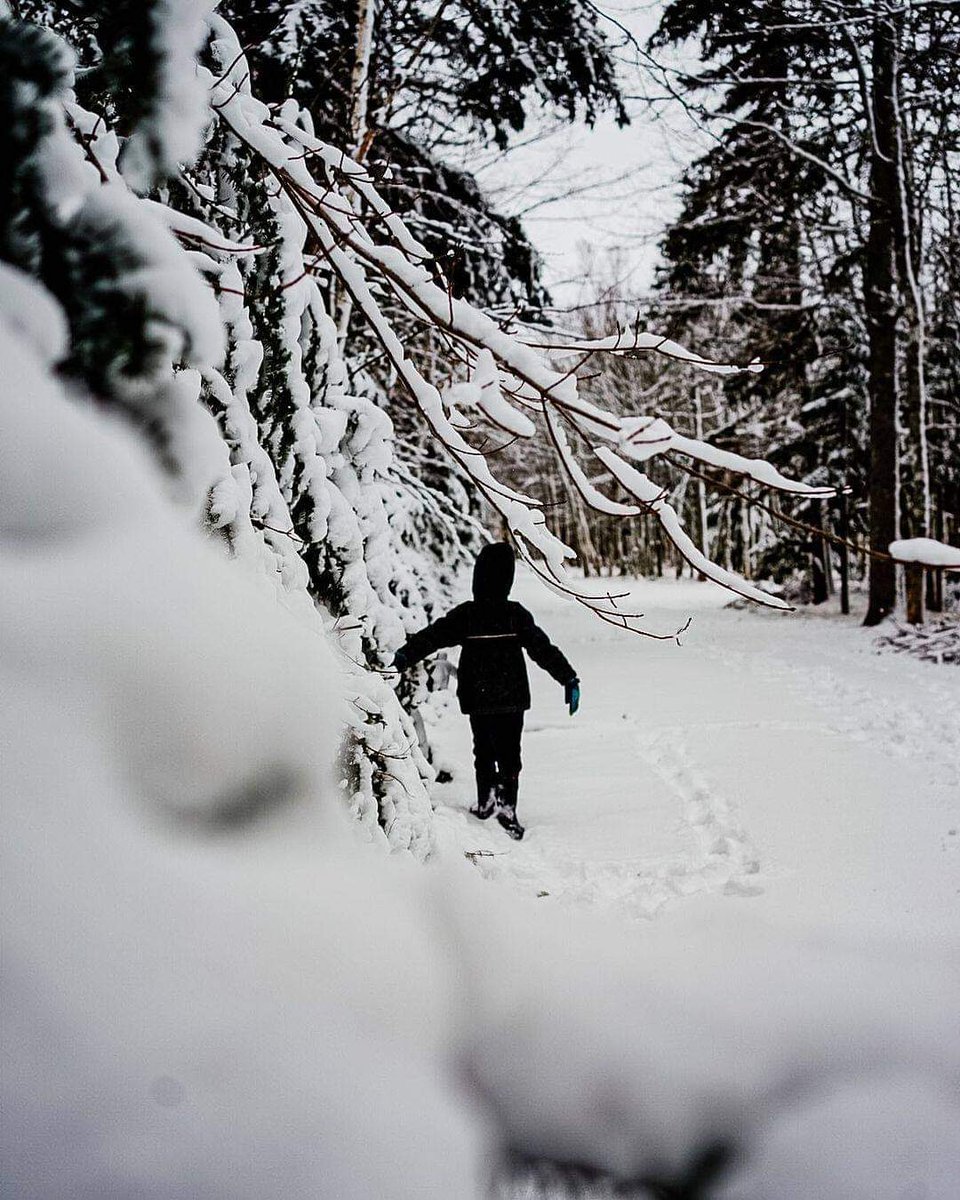 Taking full advantage of all that white stuff! Where is your favourite location for strolling in the snow? ❄️

Photo by <a href="/visualsofdev/">visualsofdev</a>
