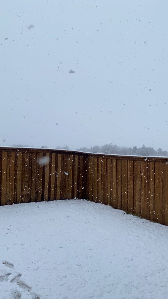 IndiaEdwards's tweet image. in case you’re curious:
Texas yesterday                    Texas today