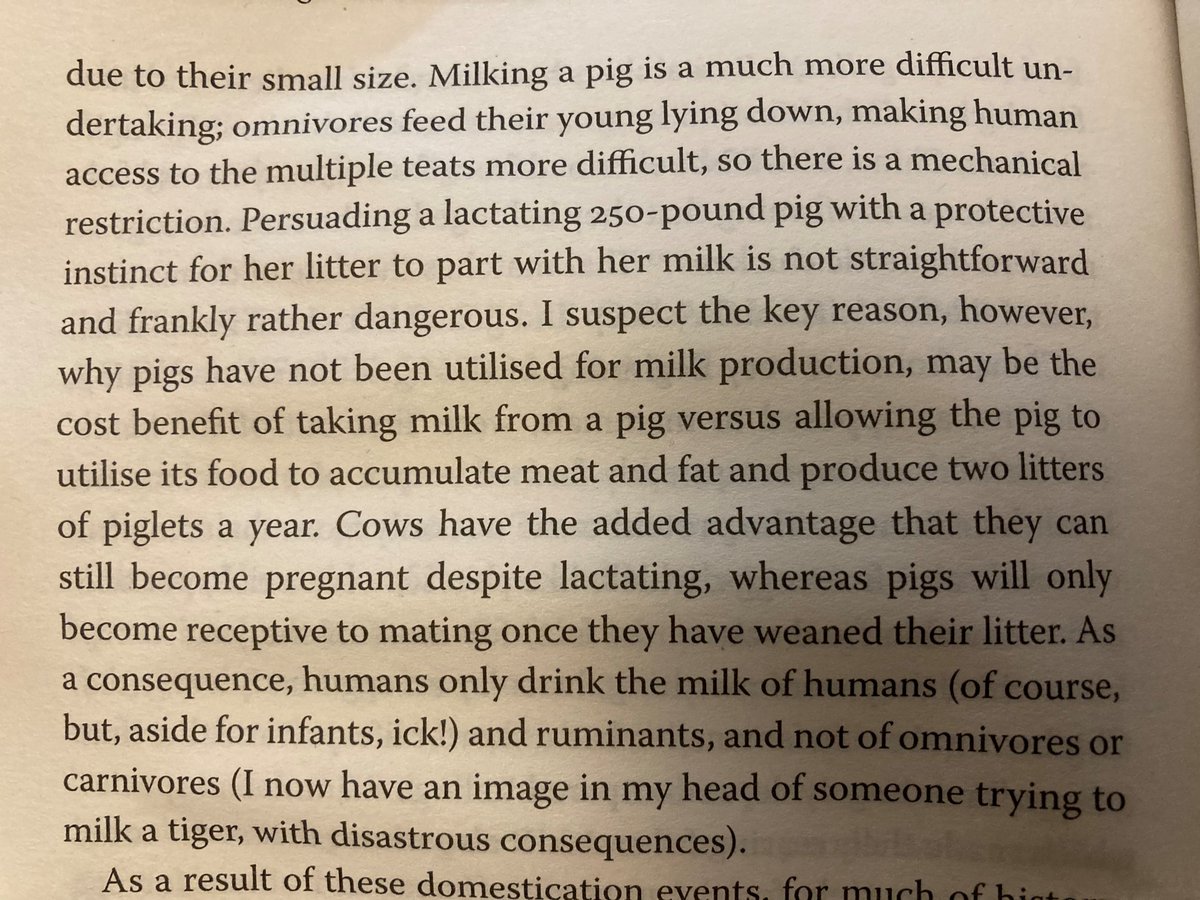 GilesYeo's tweet photo. @LwtEmmaBird @Gwenmommabear @skepticalzebra Can you milk a pig? Here's the answer from #GeneEating https://t.co/VyjZIVWID6