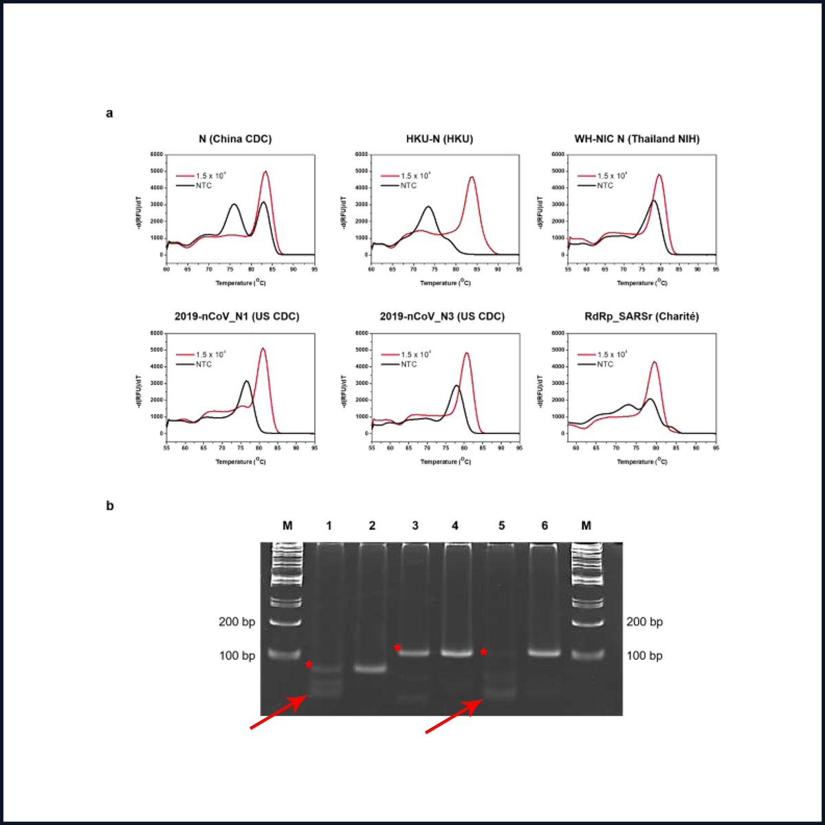 We have written another 60 page dissection of the Drosten PCR protocol.This should end all of the criticism of the initial retraction request not having enough “wet-lab” proof.20 peer reviewed papers showing catastrophic problems. @Eurosurveillanc  https://cormandrostenreview.com/downloads&nbsp;