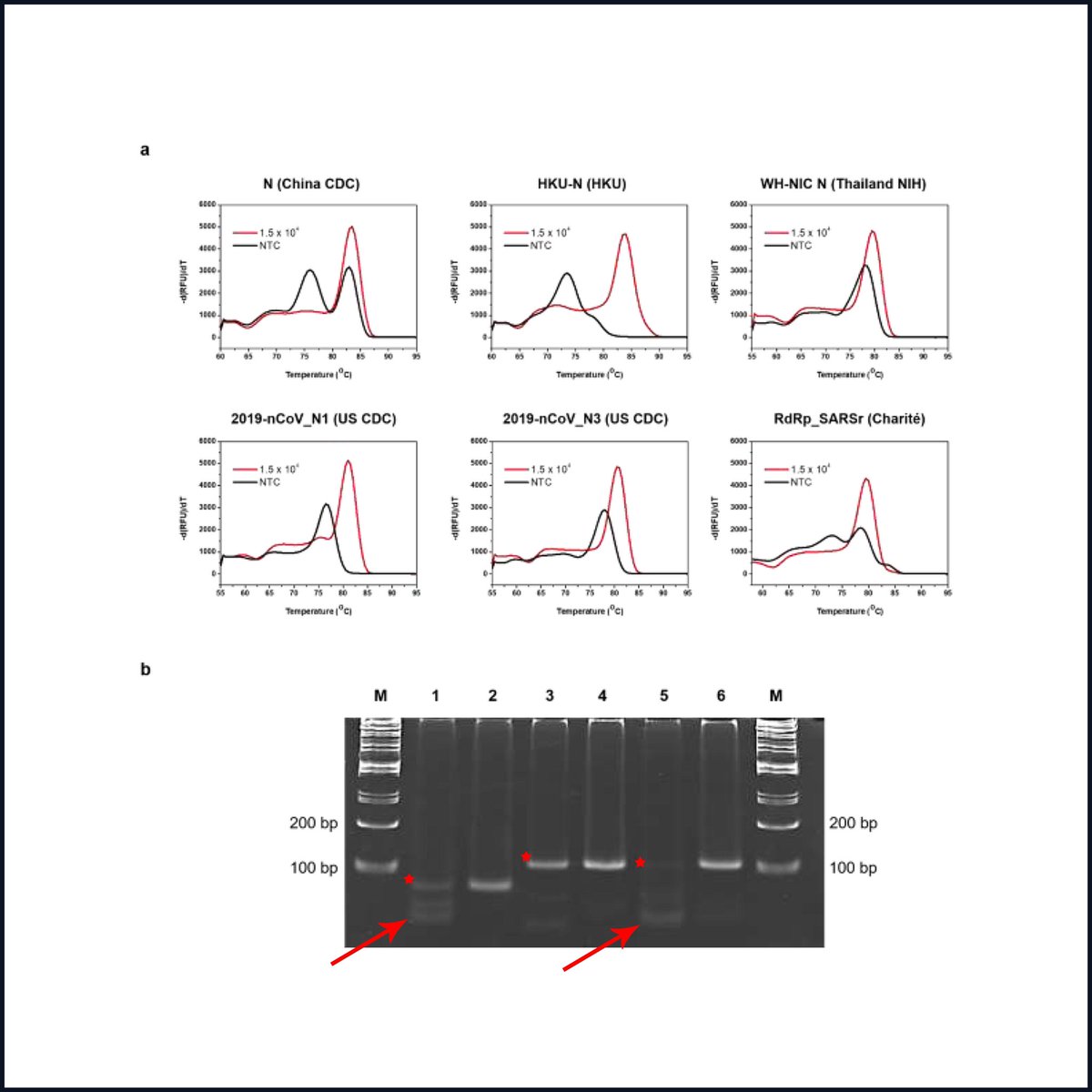 We have written another 60 page dissection of the Drosten PCR protocol.This should end all of the criticism of the initial retraction request not having enough “wet-lab” proof.20 peer reviewed papers showing catastrophic problems. @Eurosurveillanc  https://cormandrostenreview.com/downloads 