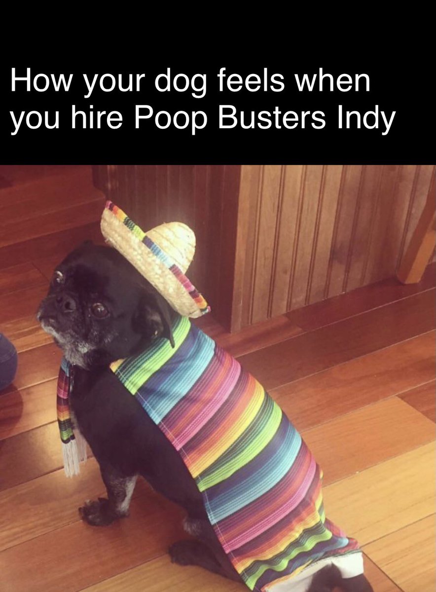 Poop Busters Poop Busters Indy (@poopbustersindy) / Posts / X