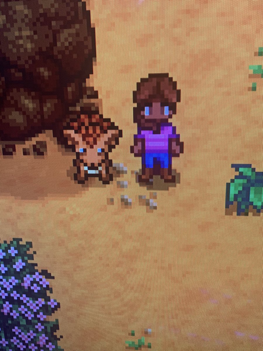 Thatoddball_'s tweet photo. My baby 🥰 #StardewValley #vulpix #addictedtothisgame https://t.co/goypr8AjX2