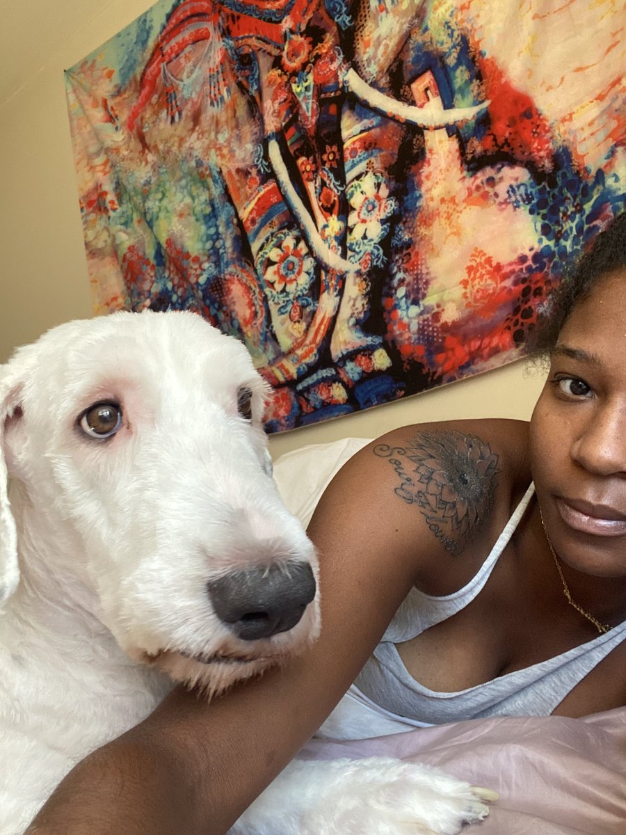 Crim_Della77's tweet image. Yay I can finally bring Oreo with me. Next weekend #SameDog