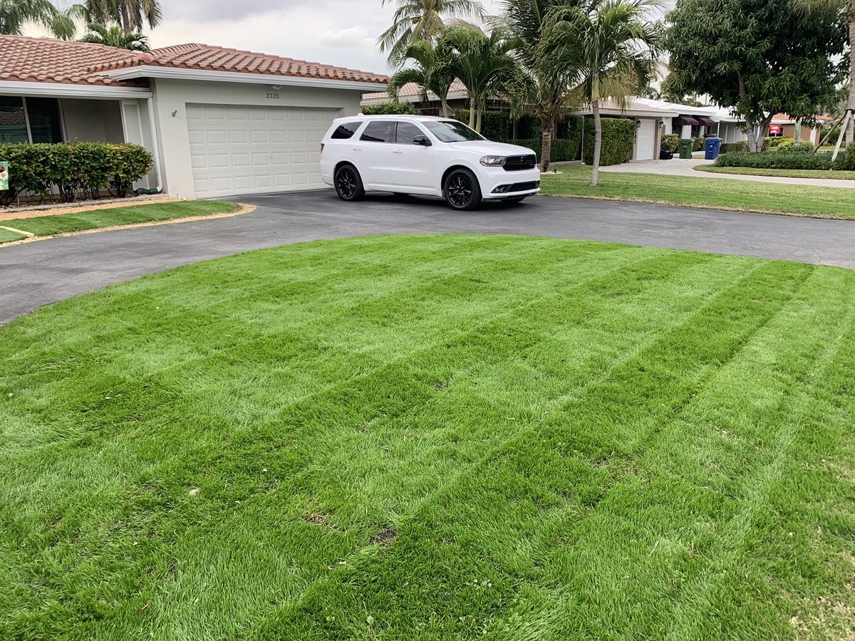 BoSoxBrian's tweet photo. @mowingporn it’s the talk of the neighborhood 🗣 https://t.co/UFVbcIBABI