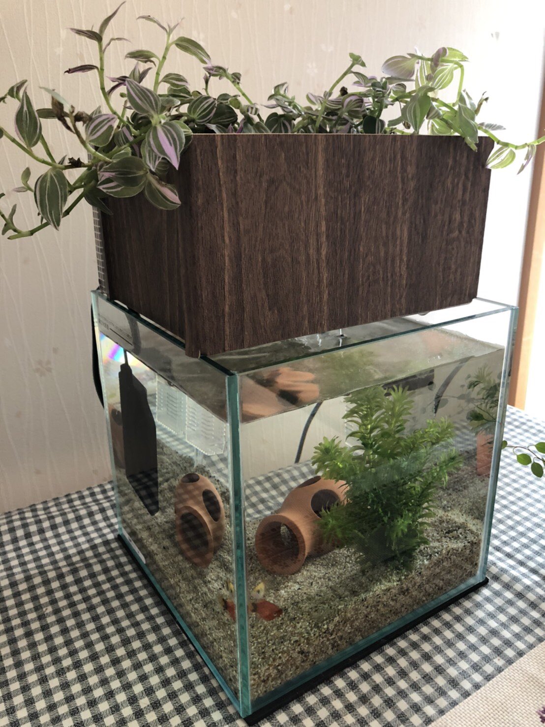 Twitter 上的 せせらぎビオトープ 西条庭園 水換え不要水槽 cm型ろ過装置にシートを貼ってみました こういう楽しみ方もできますよ ちなみに100均で売っているリメイクシートです 水替え不要水槽 金魚 水槽セット T Co Rjva6iejg3 Twitter
