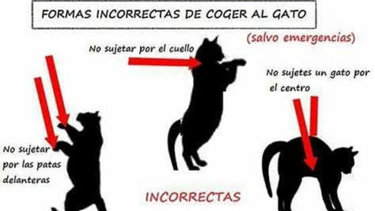 Ukulanda's tweet photo. ¡Te Caché!
Lo que no sabes que ahora sabrás

#Independiente #Audaz https://t.co/LnrzUkWgb2