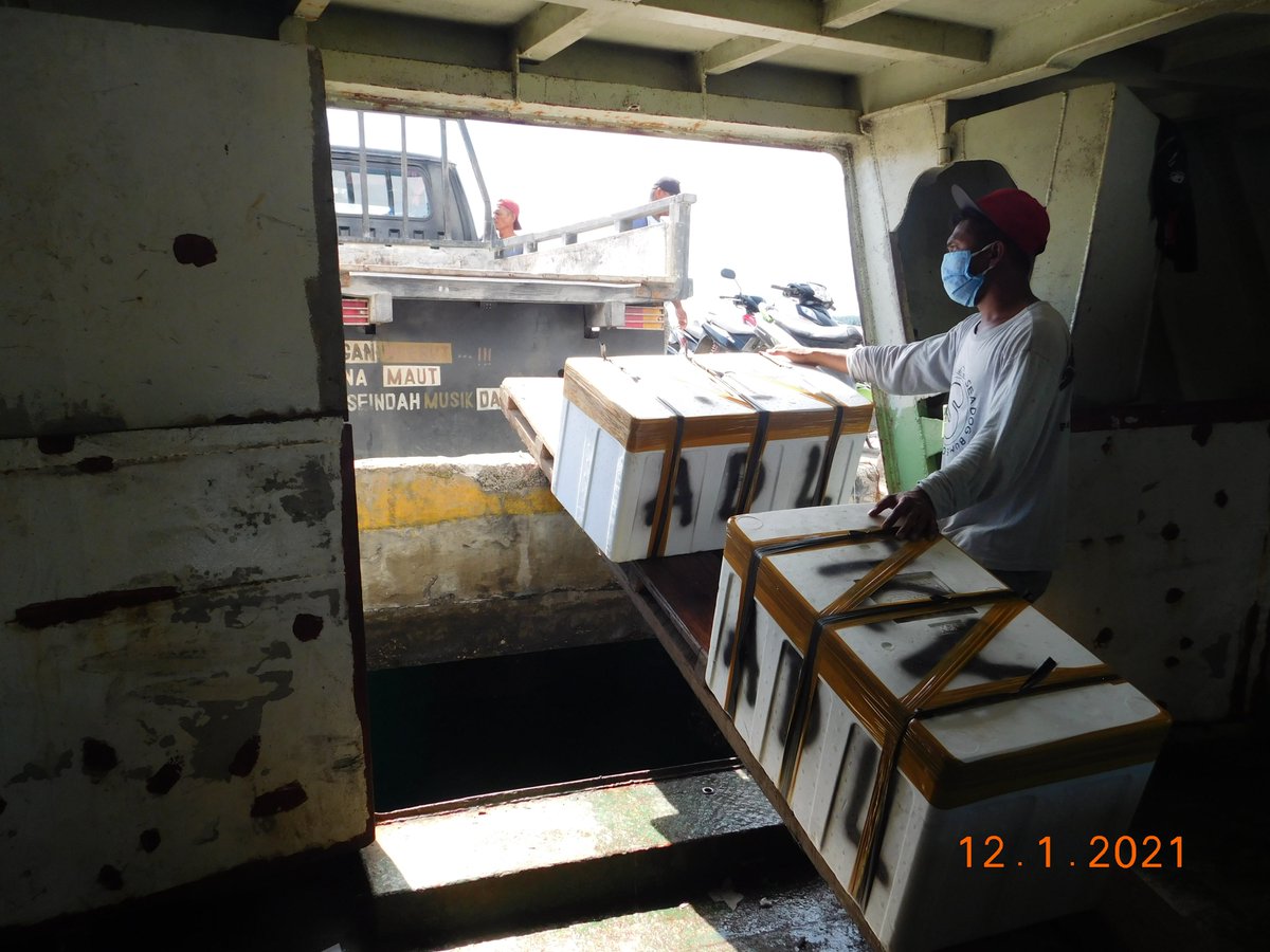 wilkerbalut's tweet photo. 12/01/2021 #OneHealthKIPM Kegiatan Pengawasan dan pemeriksaan di Pelabuahn Banggai Laut, KM Ledy Viera tujuan Luwuk oleh petugas :
@Wilkerbalut
@HumasBKIPM
@rinajanwar2201
@darwis_skipmlb
@l3o_Ramagusta
@medya1978 https://t.co/G8qlxT3Kkb
