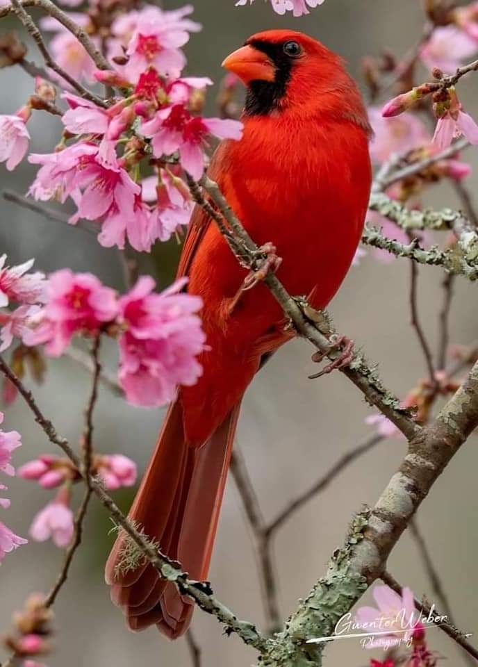 ARGHYASANYAL4's tweet photo. Indeed! God is no doubt the most creative thinker and manufacturer . #creativity #wildlife #amazing #WoW #fauna https://t.co/JTVLDF9K0A