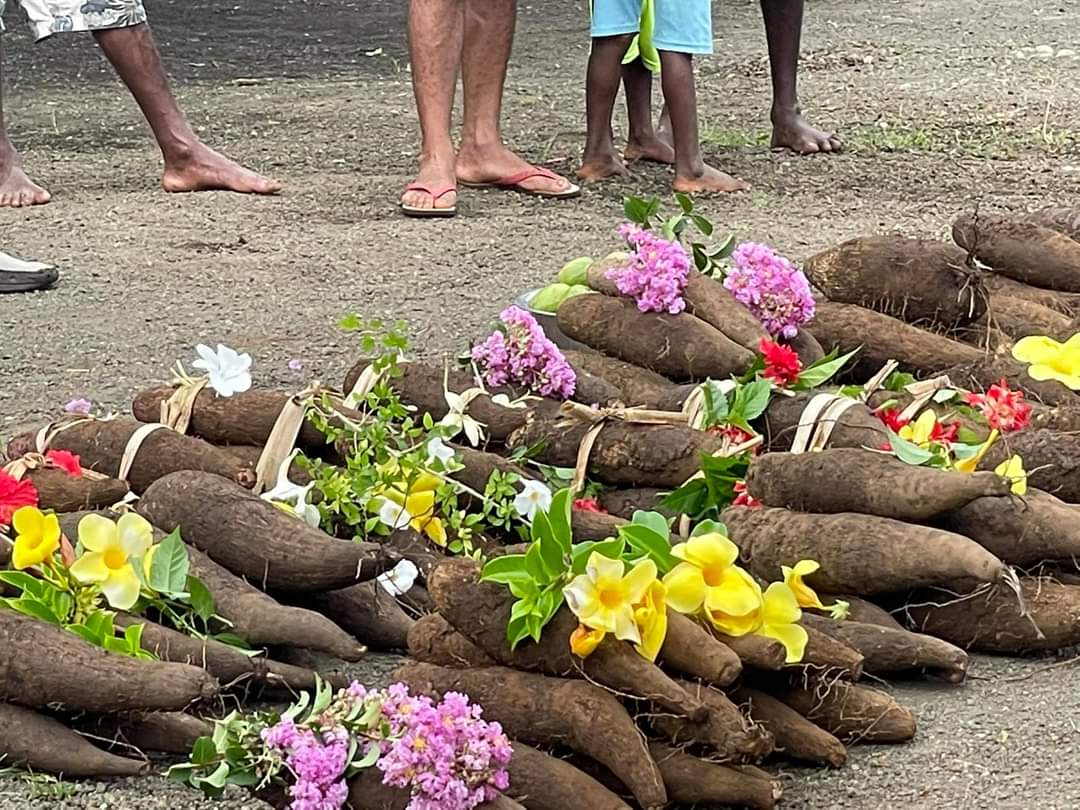talemaot's tweet photo. It's the first yam harvest of the new year on Tongariki. 😍👏👏 In 2020, this small island became famous for supplying 22 tons yam to the DARD/MALFFB Food Sec Cluster TC Harold disaster food aid response. #FSAC #agriculture #yam #vanuatu #DARD #MALFFB
Pc: Joe Pakoa Lui https://t.co/q1vUOfIwzR