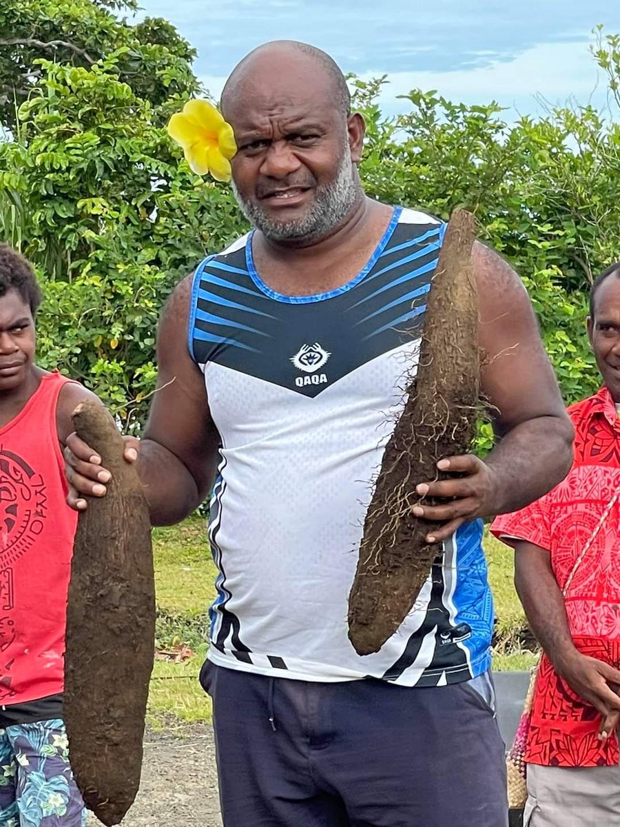 talemaot's tweet photo. It's the first yam harvest of the new year on Tongariki. 😍👏👏 In 2020, this small island became famous for supplying 22 tons yam to the DARD/MALFFB Food Sec Cluster TC Harold disaster food aid response. #FSAC #agriculture #yam #vanuatu #DARD #MALFFB
Pc: Joe Pakoa Lui https://t.co/q1vUOfIwzR