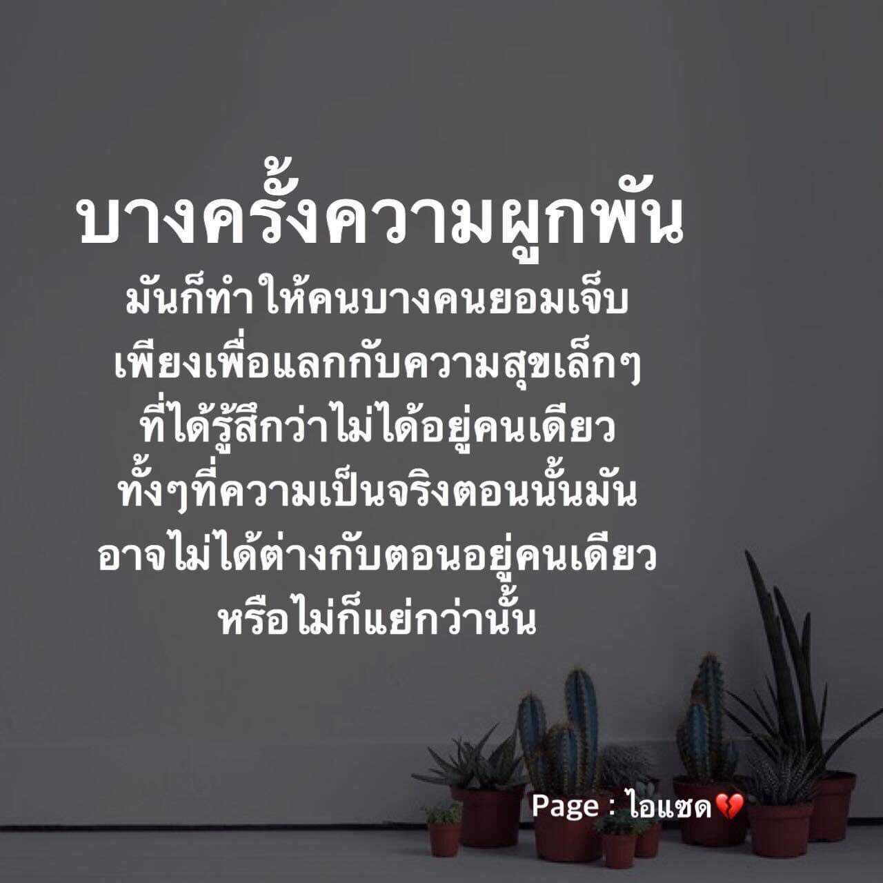 ทางของฉัน#ฝันของเธอ on Twitter: ทางของฉัน#ฝันของเธอ On Twitter: