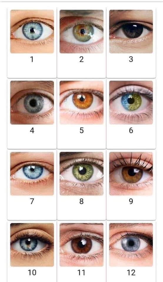 angellovesari's tweet photo. what’s ur eye color? mine is a mix of 4&amp;10 https://t.co/oNNX8iA3SF