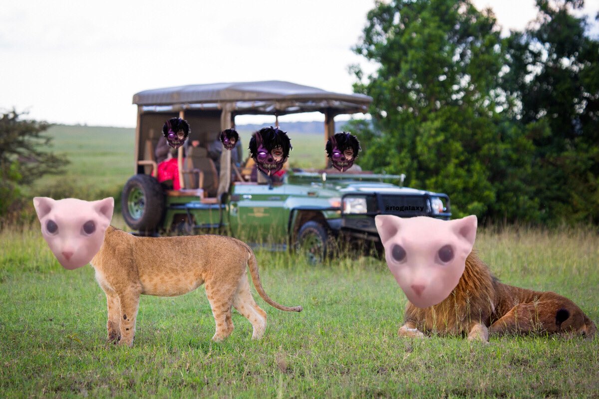 i also wanna see a wild bingus one day...

#corpsesafari