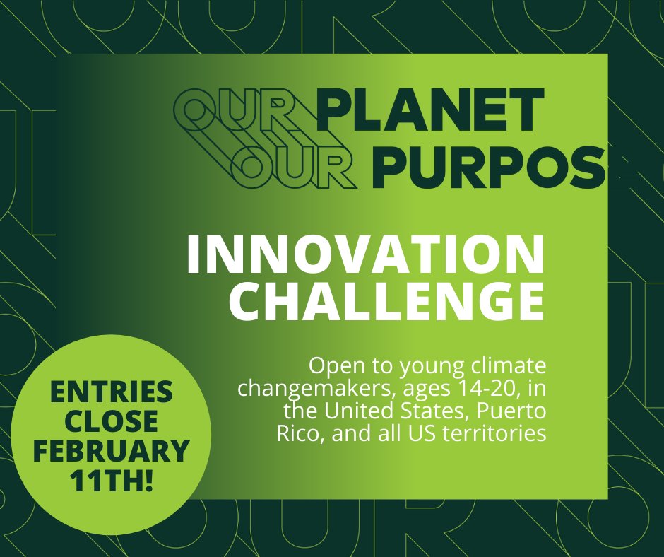 compugirlshawaii tweet media