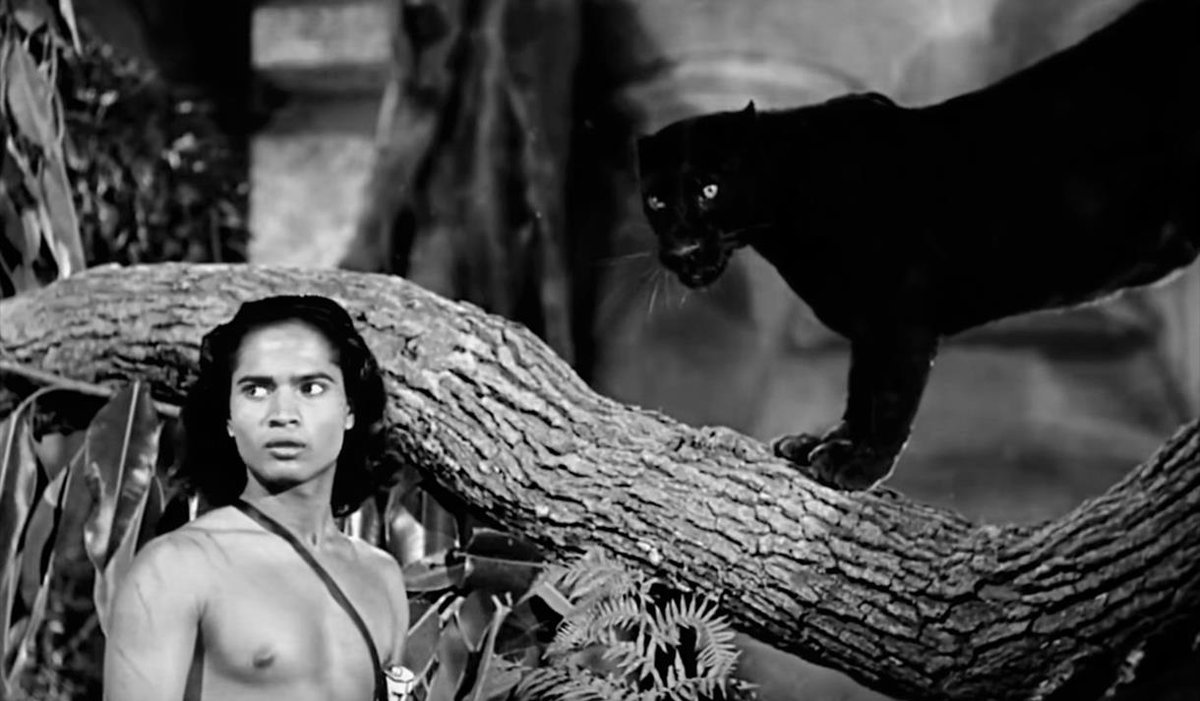 книга джунглей фильм 1942. книга джунглей фильм 1994. фильм маугли 1942. маугли 1942. книга джунглей 1942.