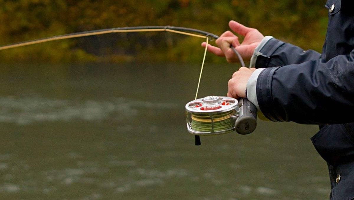 UsaArctic's tweet photo. "The internationally patented Free-Flex System"

https://t.co/JykiJR9cjC Harnessing the full potential of the #flyfishing rod while maximizing ergonomics: that’s the nuts-and-bolts mission of the #ArcticSilverUSA design. 
#flyfishinglifestyle #streamfishing #fishing #fishingusa https://t.co/qYdohmr08c