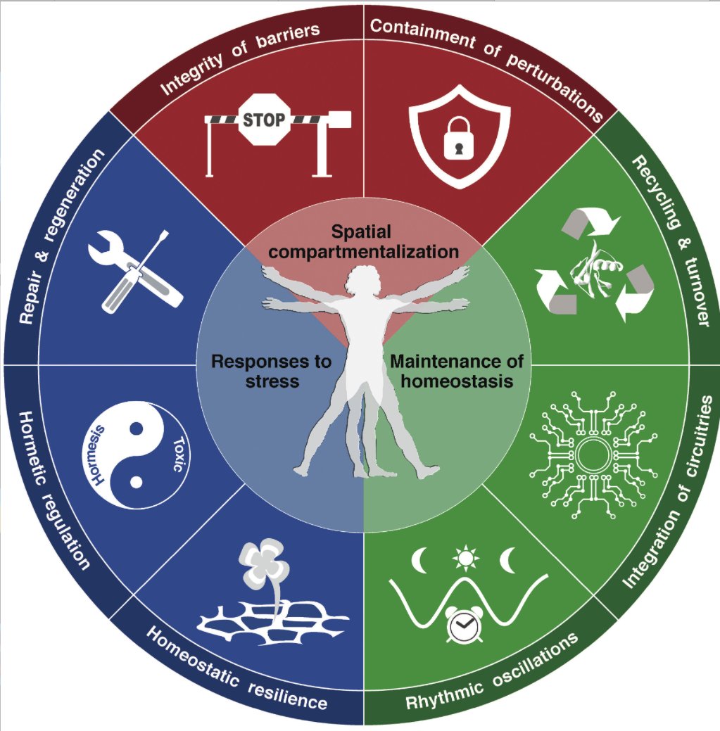 mmw_lmw's tweet photo. #Hallmarks_of_Health | Guido Kroemer @Univ_Paris @CellCellPress https://t.co/I9jjfB2Utq | #2020_ReCapDec https://t.co/0nsRNGNUOx