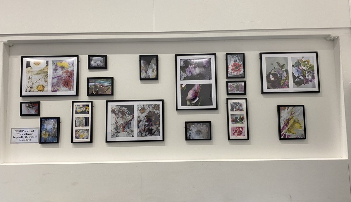 MEA_artdept's tweet photo. Great to get these on the wall at last @MEAcad The awesome Year 11 GCSE photography students experimenting with flowers and ice and stuff! #meaproud #bruceboyd #creativity https://t.co/w9MhS4jWBk
