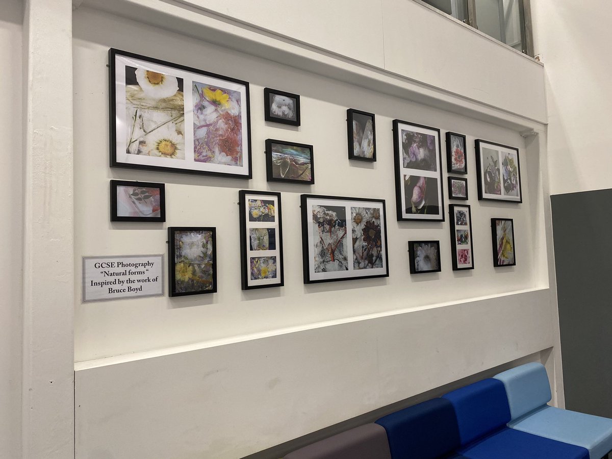 MEA_artdept's tweet photo. Great to get these on the wall at last @MEAcad The awesome Year 11 GCSE photography students experimenting with flowers and ice and stuff! #meaproud #bruceboyd #creativity https://t.co/w9MhS4jWBk