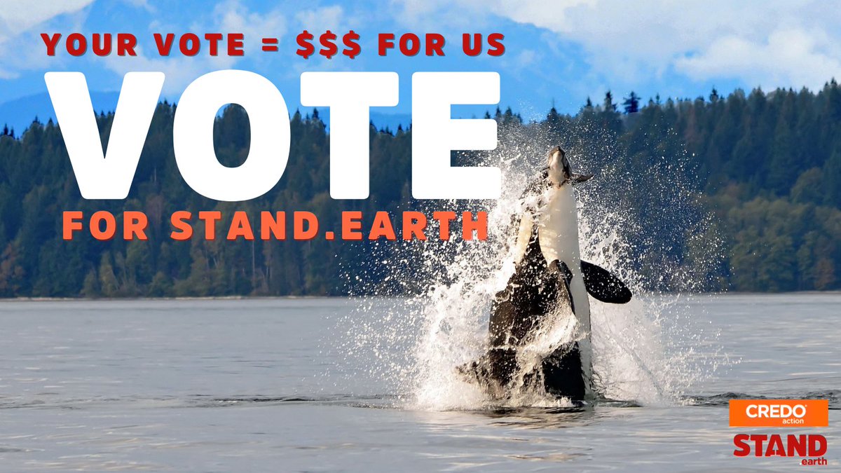 standearth's tweet photo. What an exciting way to start the year! Stand has been selected as a CREDO Mobile’s January grant recipient, which means we can receive up to $150,000 to help us supercharge our campaigns in 2021. Can you take a moment to vote for @standearth? 👉 https://t.co/ww7x126RzU https://t.co/LvnydctXsB