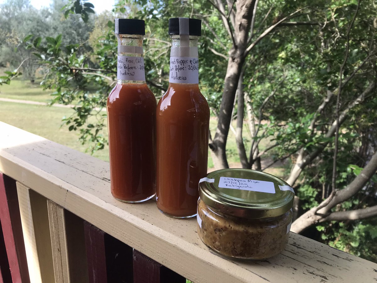 illy bocean tweet media