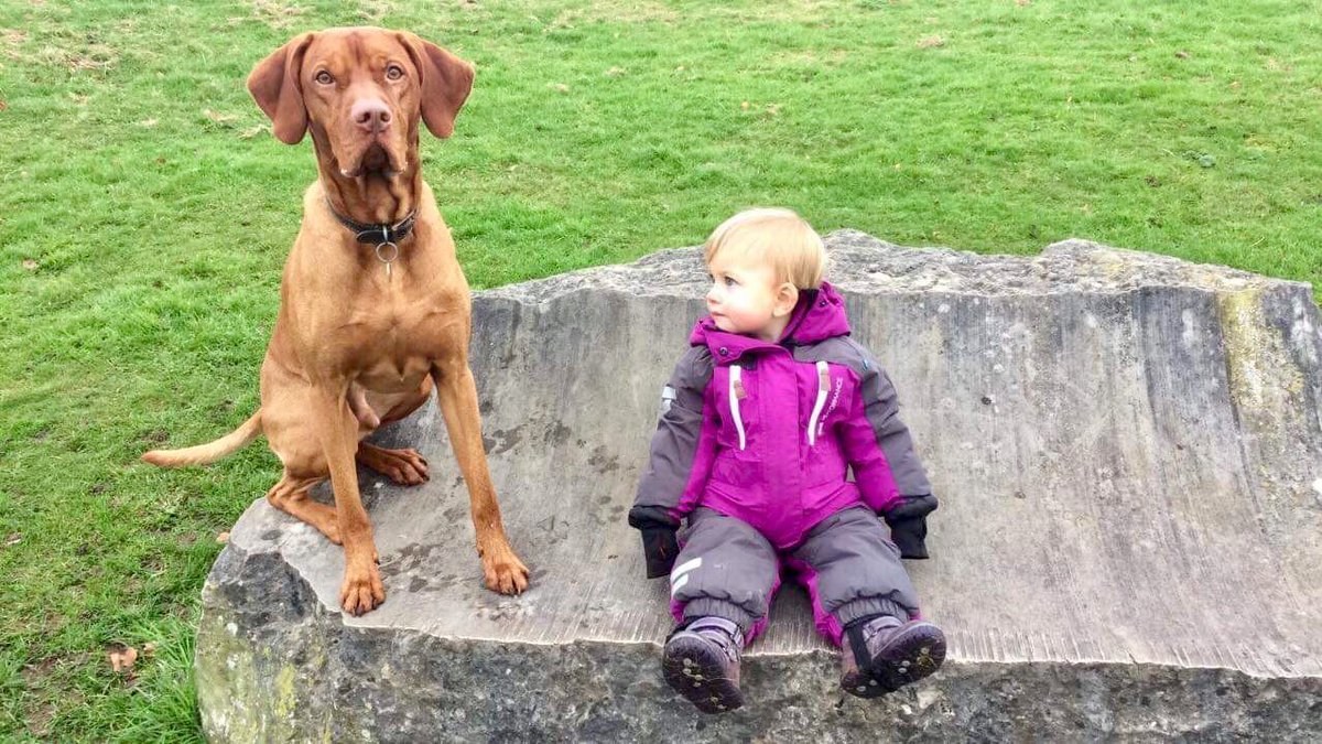 Catherine Jameson tweet media