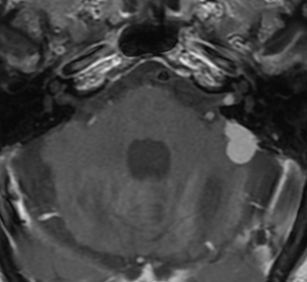 Gul Moonis tweet media