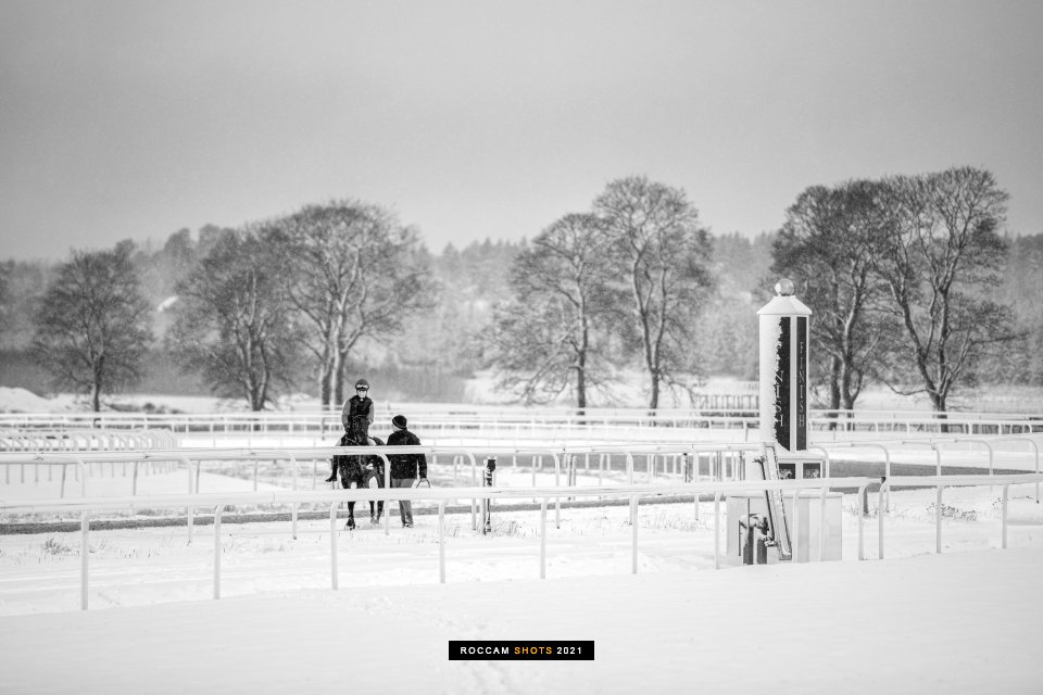RoccamShots's tweet photo. Winter racing

@svenskgalopp @swehorseracing https://t.co/eHGyIQnKZ2