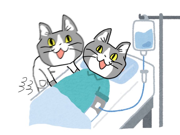 #現場猫 #看護師 
自分の体に過信は禁物。 