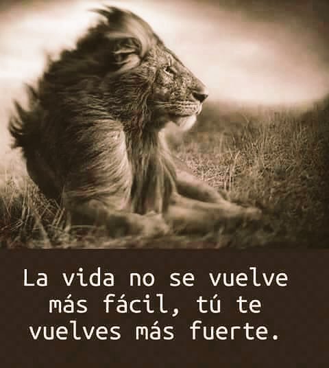 txema_joseba's tweet photo. #YOAPOYOALGOBIERNO🌹 #EquidadEducacionFuturo
#ThisIsTheWay #DistanciaSocial #SocialDistance #Resisters #BLM #BidenHarris #SafeMask "Gracias x Esfuerzo y Sacrificio de los Trabajadores Esenciales" -RATIO+Seguridad 2 metros" #LoPublicoEsElCamino Buena semana Good week Bon semaine https://t.co/T8r64T2CXJ