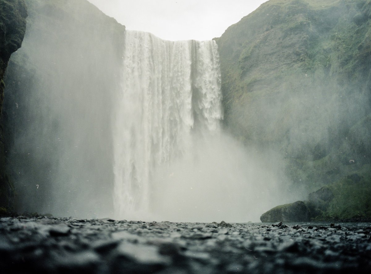 LauxCreative's tweet photo. Shot on a Mamiya 645 using Kodak Portra Film https://t.co/nxojlnNsz7