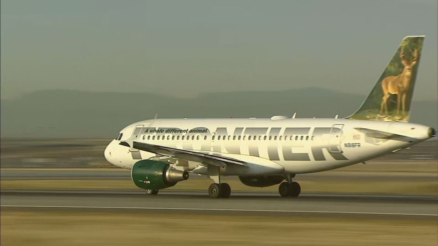 Frontier airlines top emotional support dog