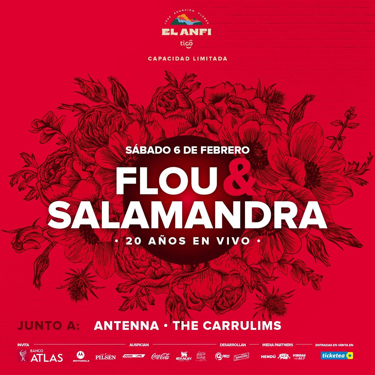 Salamandra tweet media