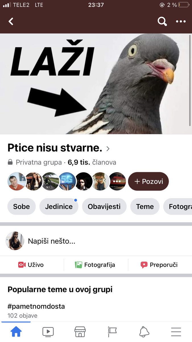 rivaap9's tweet photo. Ovo je nesto najjace sta san vidila...
Postoje grupa ljudi koji viruju da ptice ne postoje tj da su danasnje ptice dronovi...
Dan su mi popravili https://t.co/PJmBmNypHS
