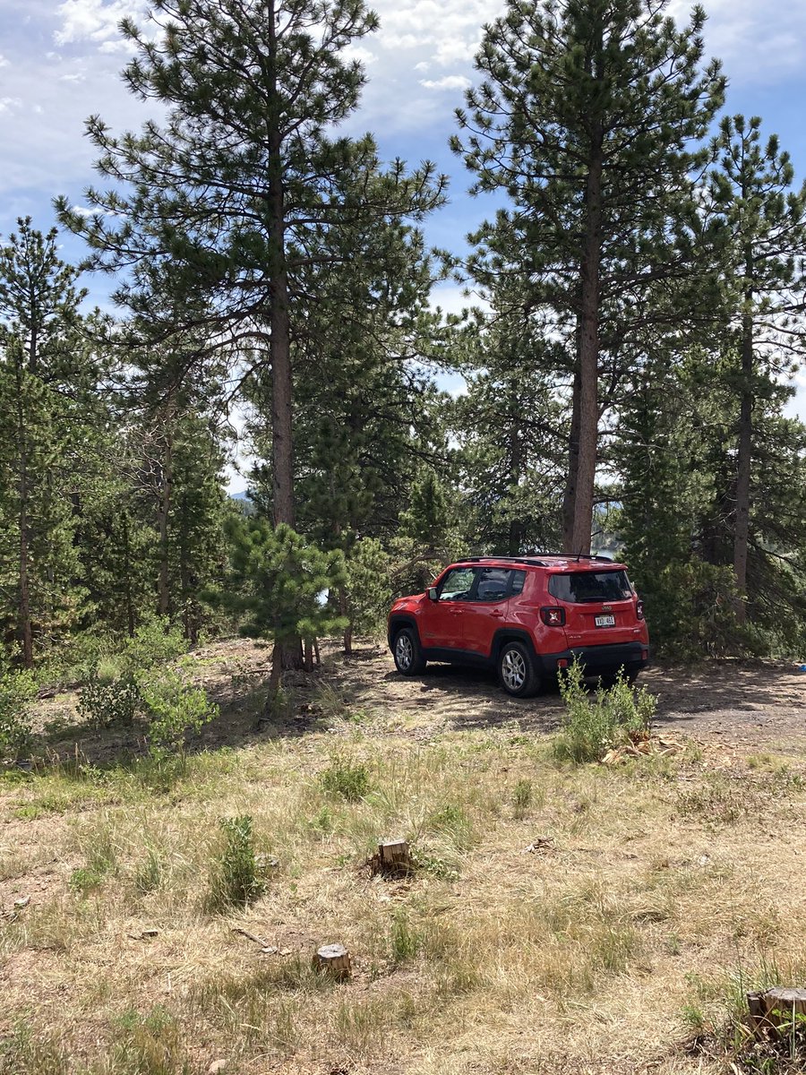 Lukumber's tweet photo. It’s been 5 years since I got him as a baby, and I paid off this bad boy today. Kylo the Renegade safely carried me through some badass destinations, 3 relationships (got a little scarred from one 🥲), 4 places of residence, and countless gigs. Cheers, buddy, here’s to many more. https://t.co/94c8A1CyQ5