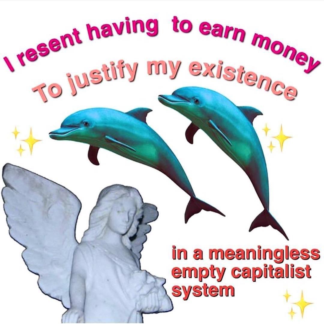 audreymeshell's tweet image. Monday thoughts 🐬