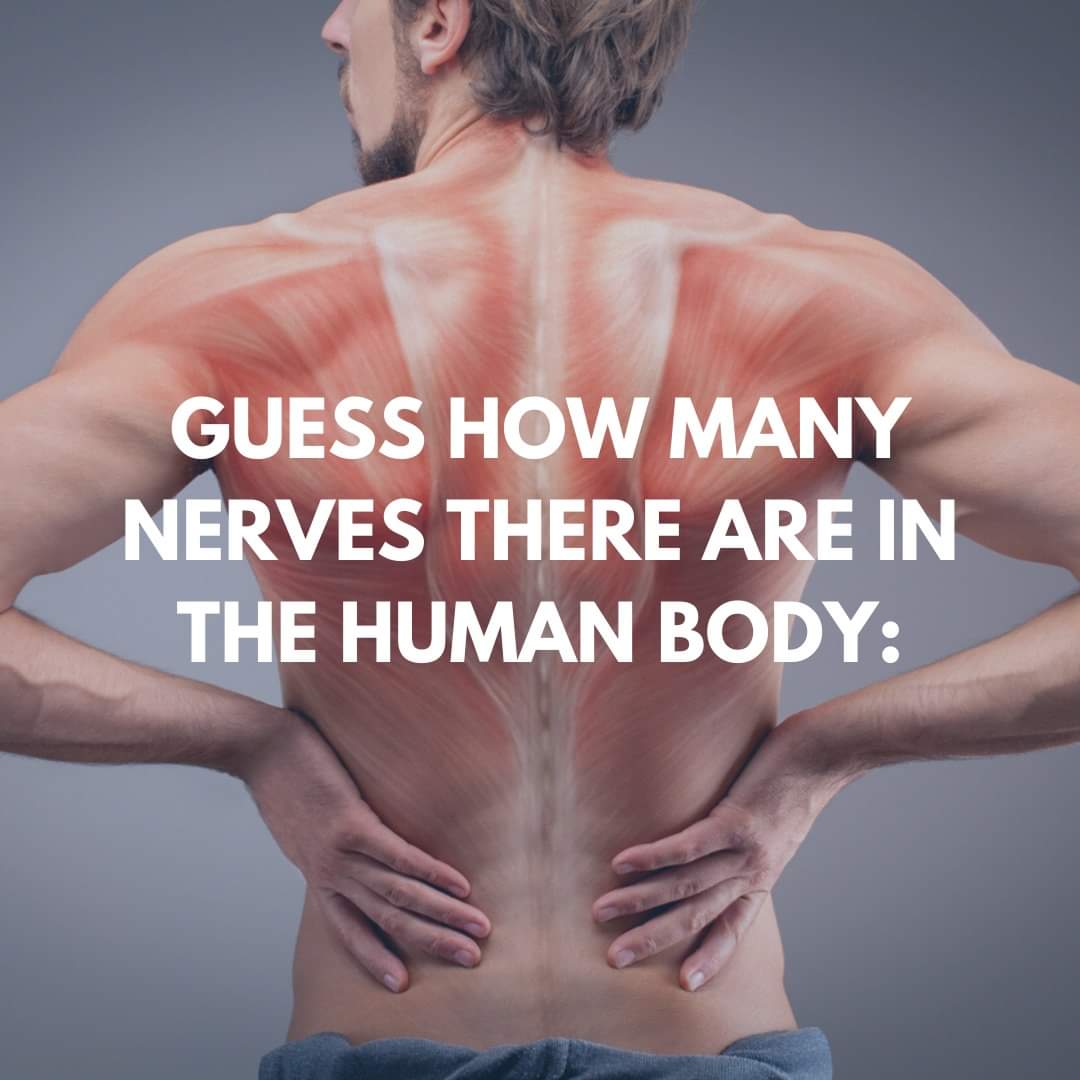 JeddahTherapy's tweet photo. Hello everyone this is Massage therapy relaxing Thailand's swedish removing  lame pain body if you want to massage come on my WhatsApp 0549126173 https://t.co/qmG8KIUpQz