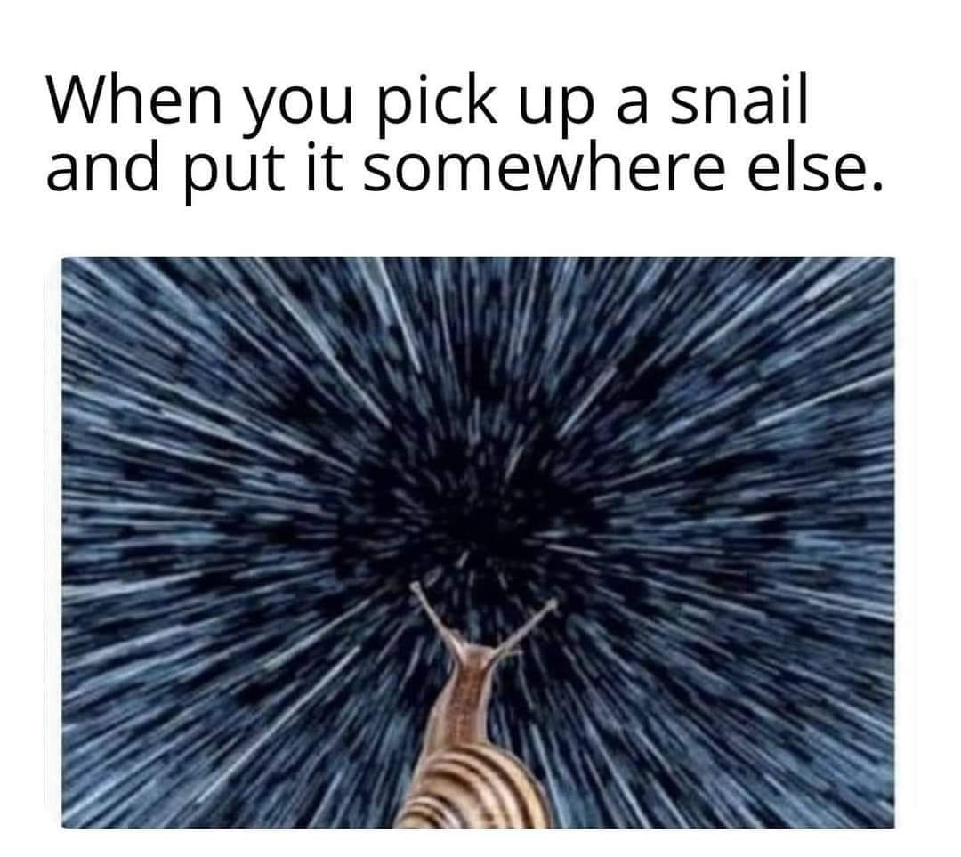 tisch - stay at home don't be typhoid mary. #BLM tweet media