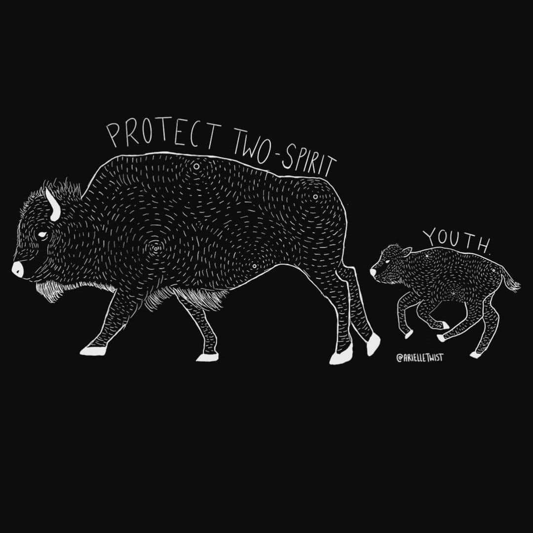 mahtowin1's tweet photo. ❤️Protect Two-Spirit youth!❤️ https://t.co/9CunPNn0Ry