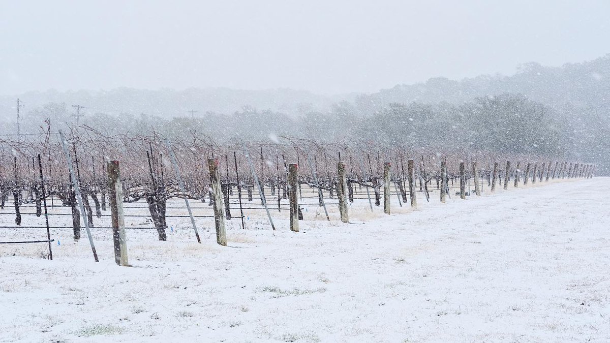 DWTFestival's tweet photo. We're loving all of the snow photos from the wineries, breweries, and distilleries in the Dripping Springs area! While it wasn't a great day to go visit the watering holes, the snow created the perfect excuse to enjoy some local spirits from home. #DSTX https://t.co/6J0hcqLuFT