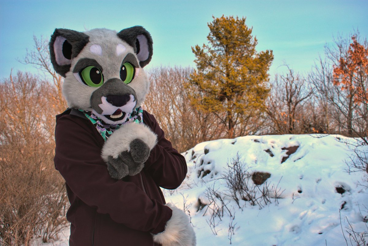 Faunacat's tweet photo. Ash was so excited to get out of their box and play in the snow! 💖❄ 

👔 : @koshkafursuits
📷 : @keidenfur https://t.co/YfwamBmdZd