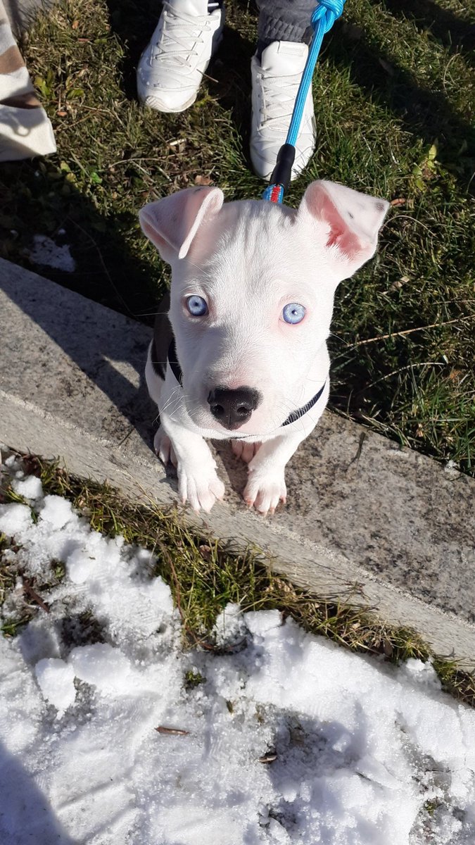 taskedaoloko's tweet image. Os dejo esto por aquí vale por si estáis tristessss