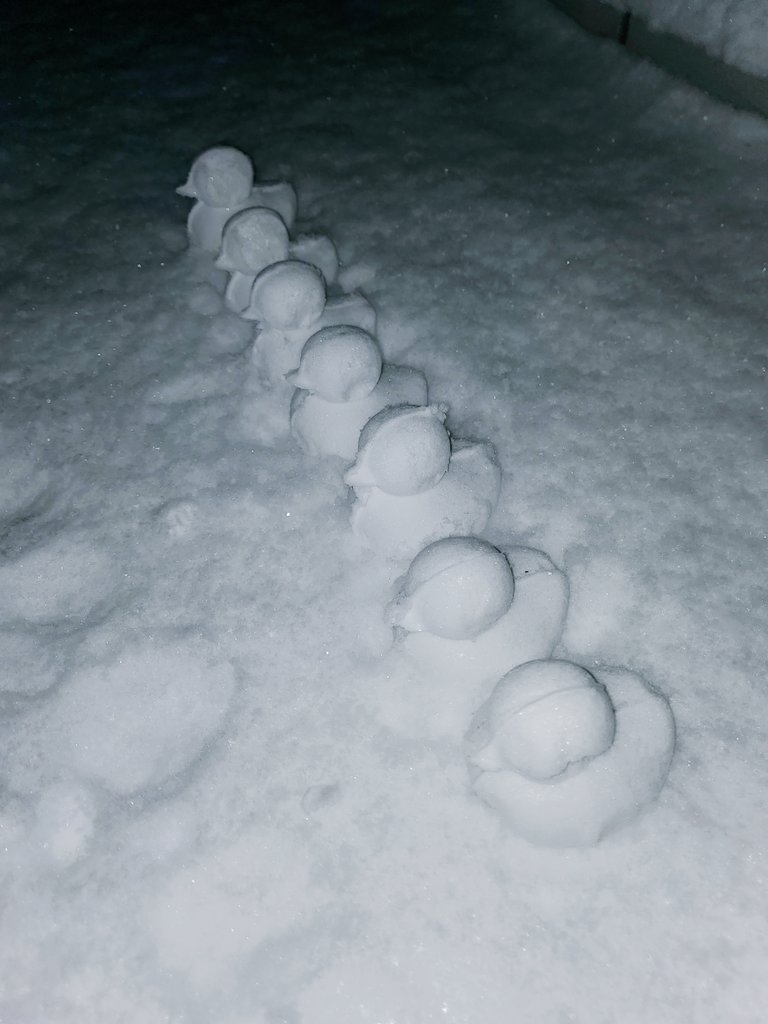 ⠀⠀⠀⠀⠀⠀⠀         ⠀⠀ะ Vía IG

        ♡  Sulli mi bodoque más pequeño y mi Jinnieboo salimos al patio a jugar un rato en la nieve, hicimos a nuestra familia en patitos de nieve.