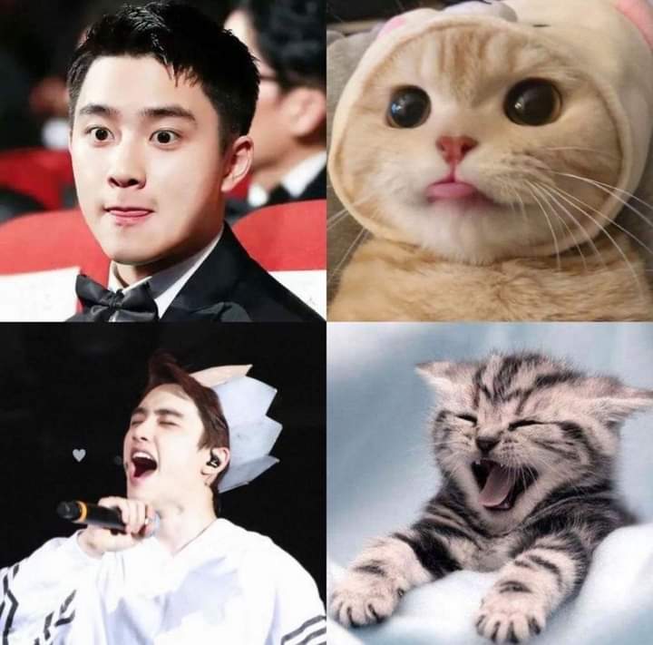 #DYODAY2021dah lah cuma mau bilang rindu itu aja gk ada kata2 yg laen. 😫😫