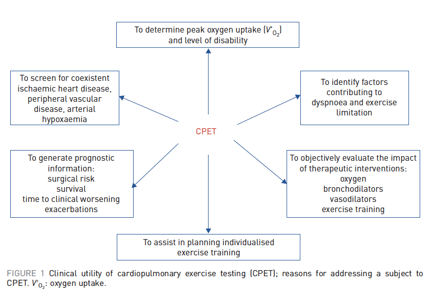 The clinical value of cardiopulmonary exercise testing (#CPET) in the modern era: Additional uses beyond identification of peak V'O2 --> ID contributors to dyspnea, benefits of treatment, prognostic, ID of disease, exercise prescription <a href="/ERSpublications/">ERS publications</a> 
err.ersjournals.com/content/errev/…