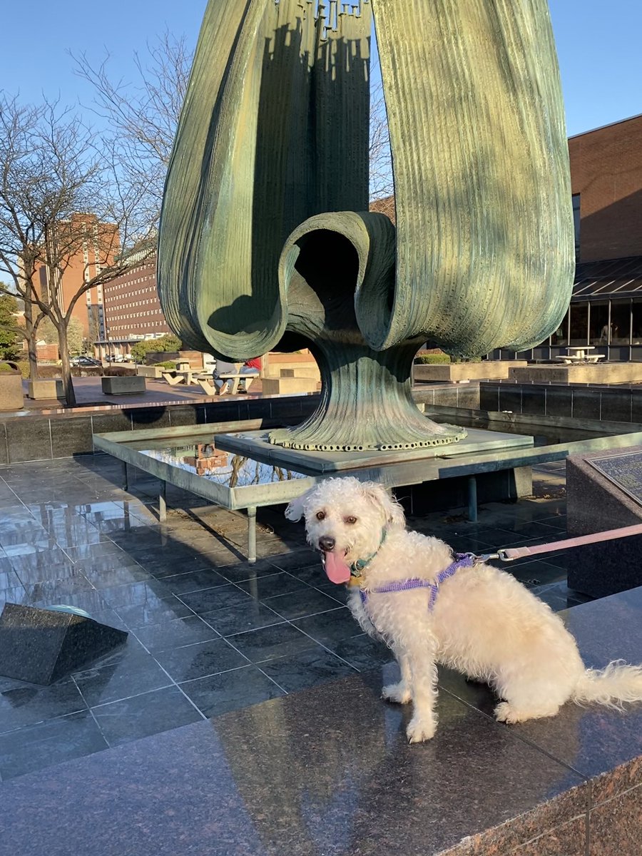 Bringing Pet of The Week back with Lorelai!