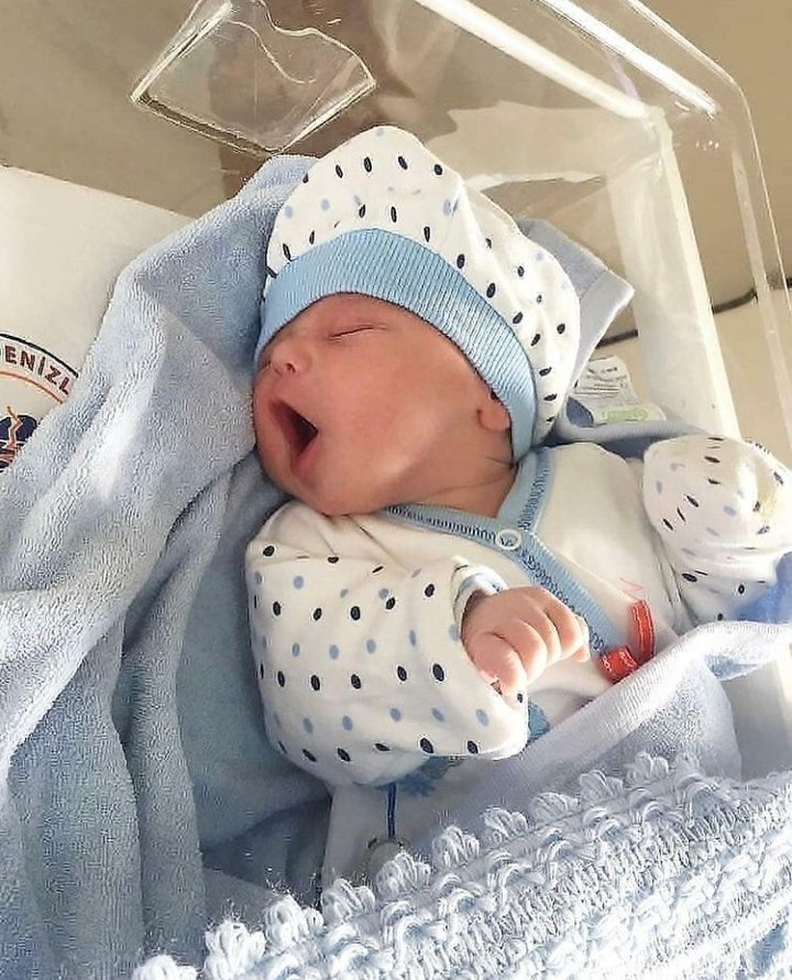 Talia_Head's tweet image. ⊹ 　　　* 　
      　 　　　❌
　　✷   *    . 　　　
　　　　　 * 　　*   +   ✫ 
* 　　　　　　　　　 ✵  　 ·
　　     　　　　✵ 
              Dalia &amp;amp; Marshall 
               Wilson Al Ghul