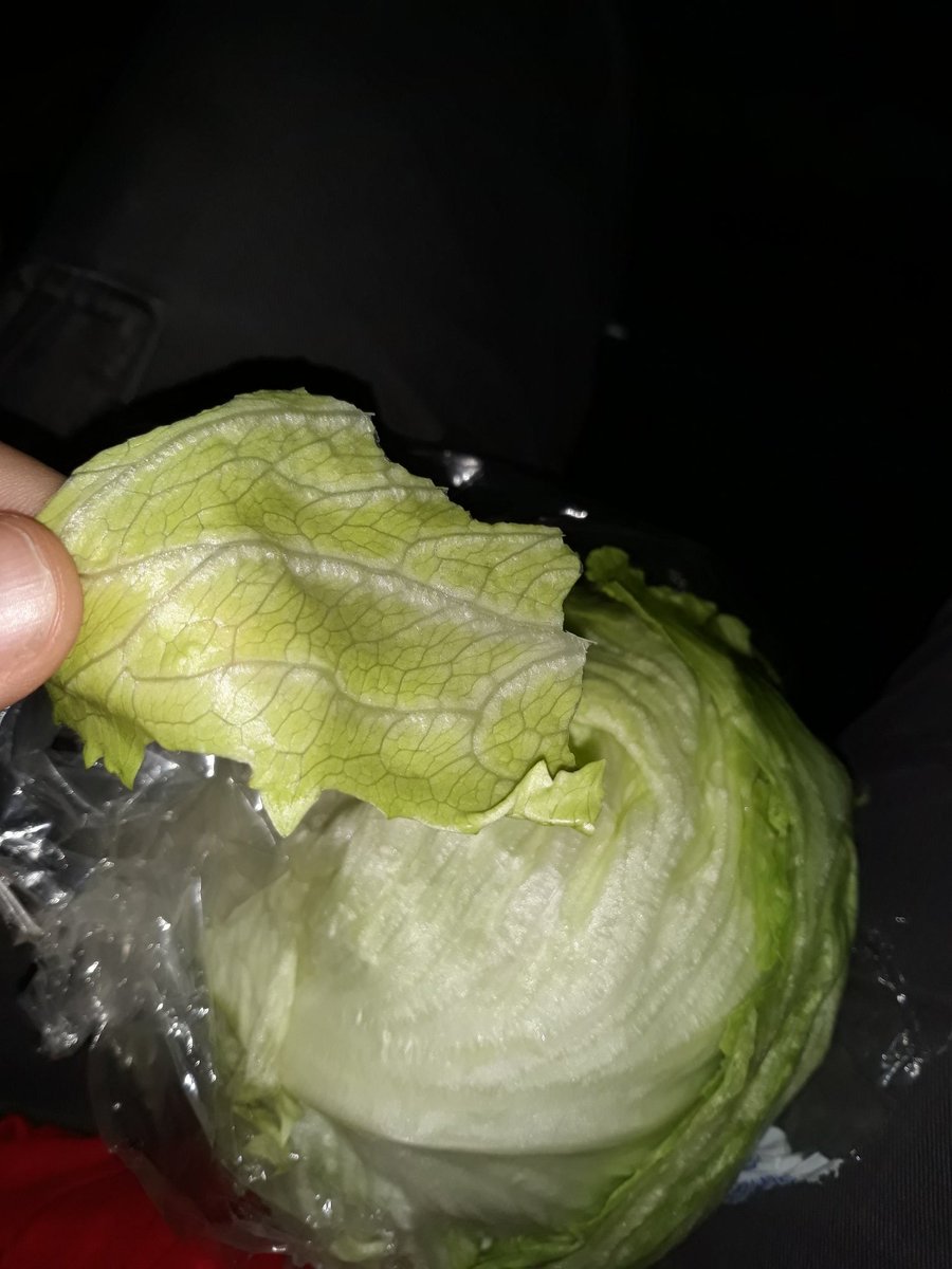 ThyMoonStrider's tweet image. Just bought some lettuce for a dollar, eating just the head. This is what it's like as a Skyrim NPC. I love it